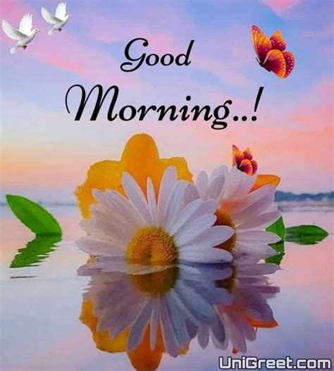 Nice morning images - Good Morning Images with Flower. Gift Now – Flowers, Cakes, Gifts & More. – Same Day & Free Delivery – Choose From A Wide Range Of Flowers, Chocolates, Cakes, Cushions, Mugs, Gifts & More. Good Morning Images with Wishes/Quotes. Just as morning light brings new rays, good morning thoughts bring with us new inspiration and …